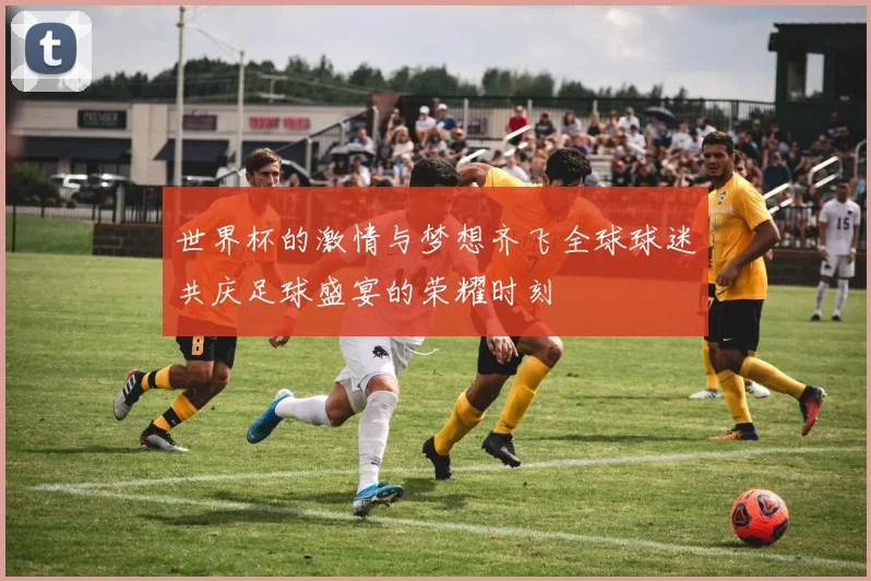 世界杯的激情与梦想齐飞全球球迷共庆足球盛宴的荣耀时刻