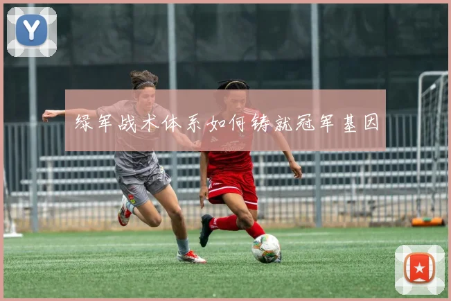绿军战术体系如何铸就冠军基因