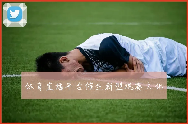 体育直播平台催生新型观赛文化