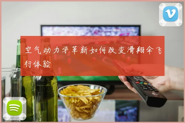 空气动力学革新如何改变滑翔伞飞行体验