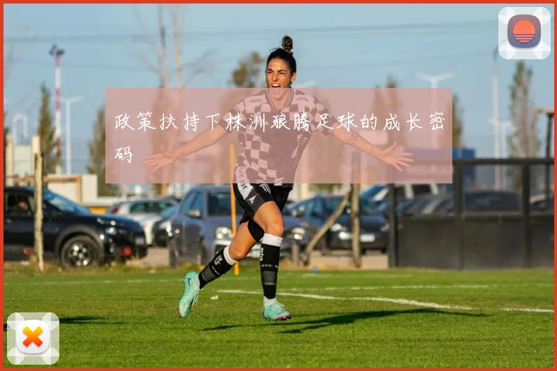 政策扶持下株洲狼腾足球的成长密码
