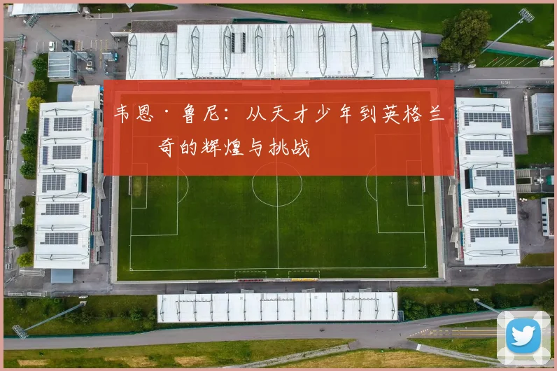 韦恩·鲁尼：从天才少年到英格兰传奇的辉煌与挑战