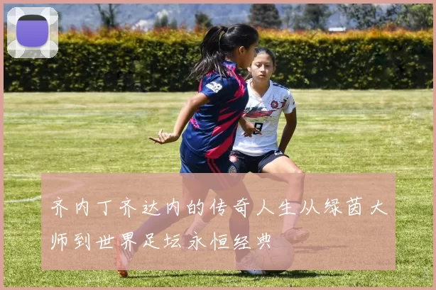 齐内丁齐达内的传奇人生从绿茵大师到世界足坛永恒经典