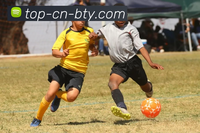 bsports平台生态图